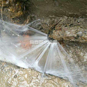 蓬莱镇消防管道漏水检测